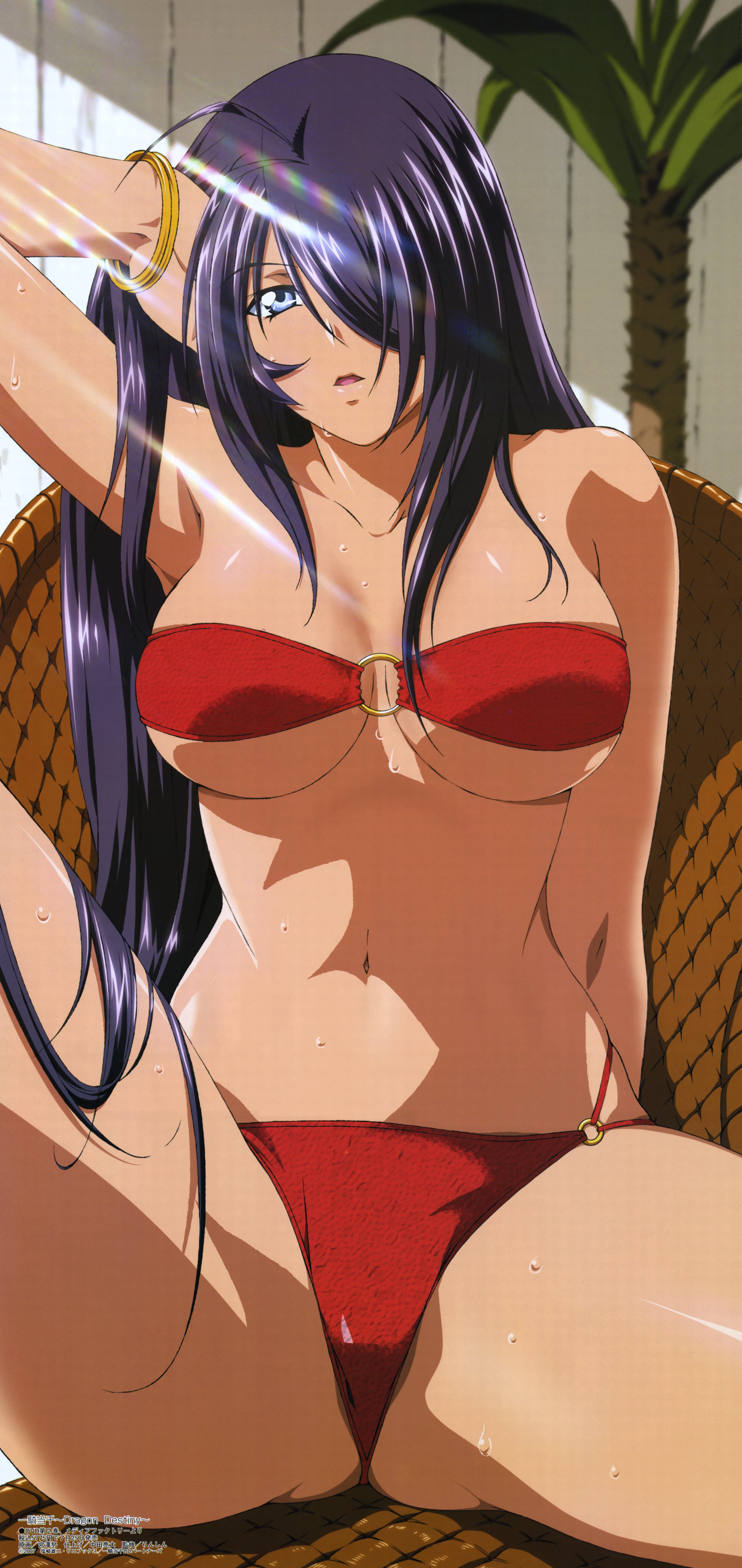 Miyazawa Tsutomu Ikkitousen Ikkitousendragon Destiny K